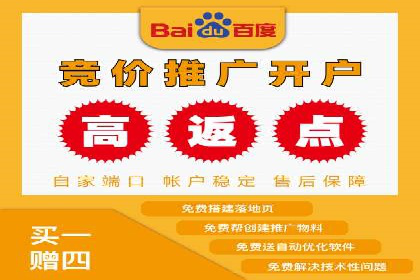 某品牌SEM广告策略揭秘——代运营公司的智慧